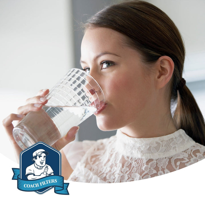 frigidaire refrigerator water filter fppwfu01